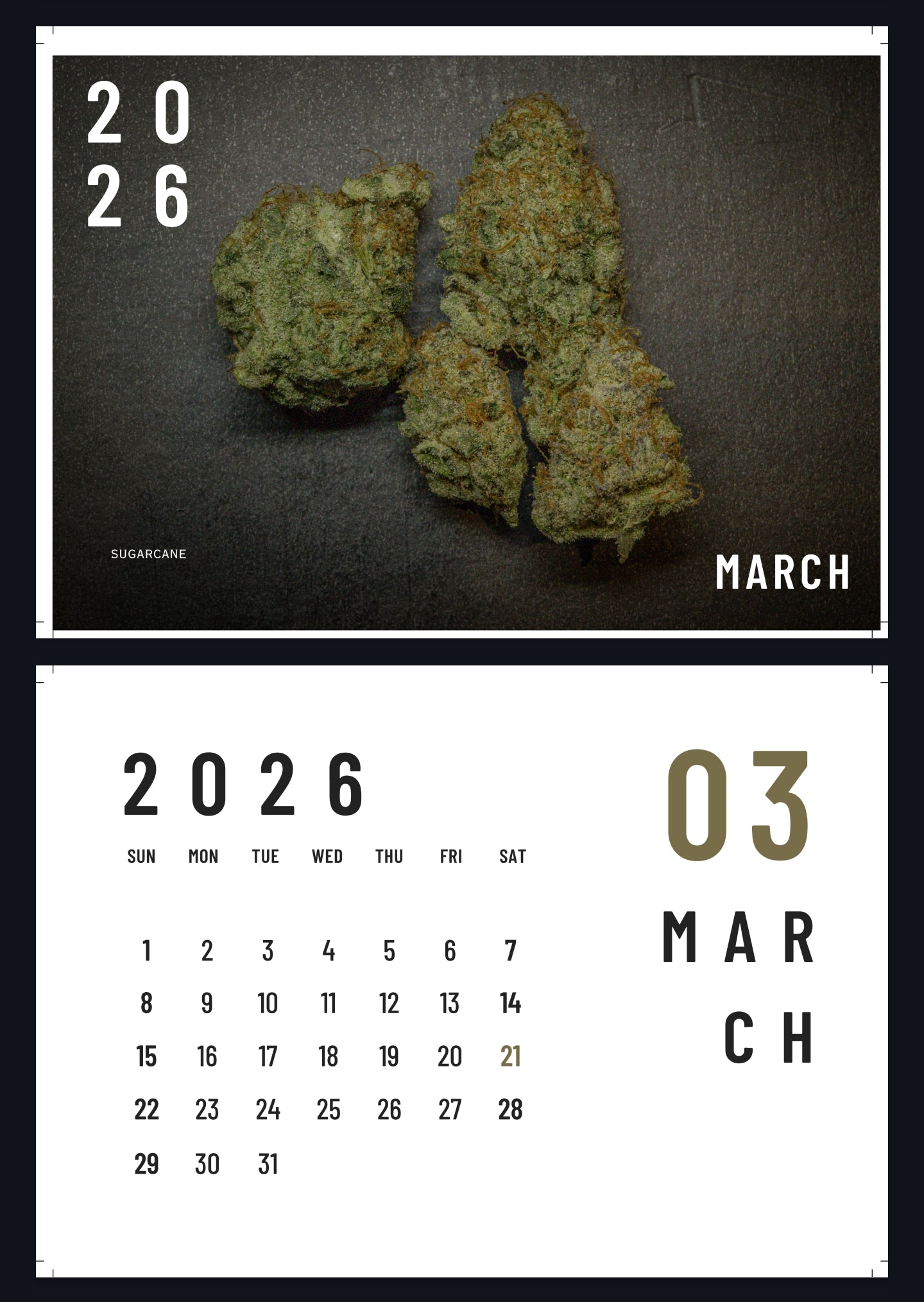 Harvest Season 2025-26 NZ Calendar