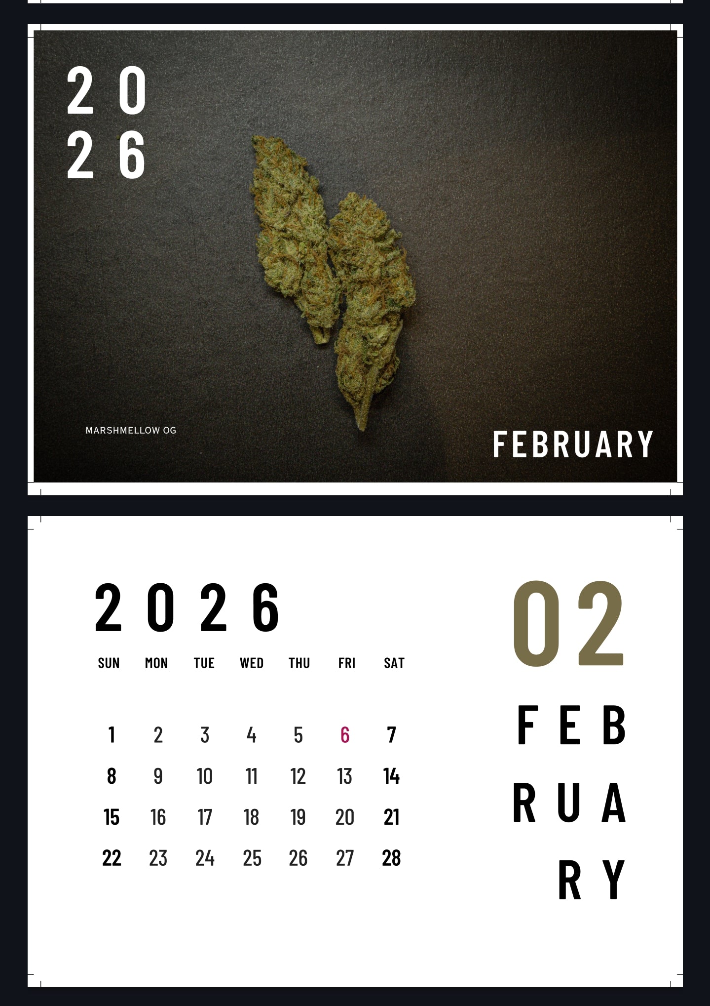 Harvest Season 2025-26 NZ Calendar