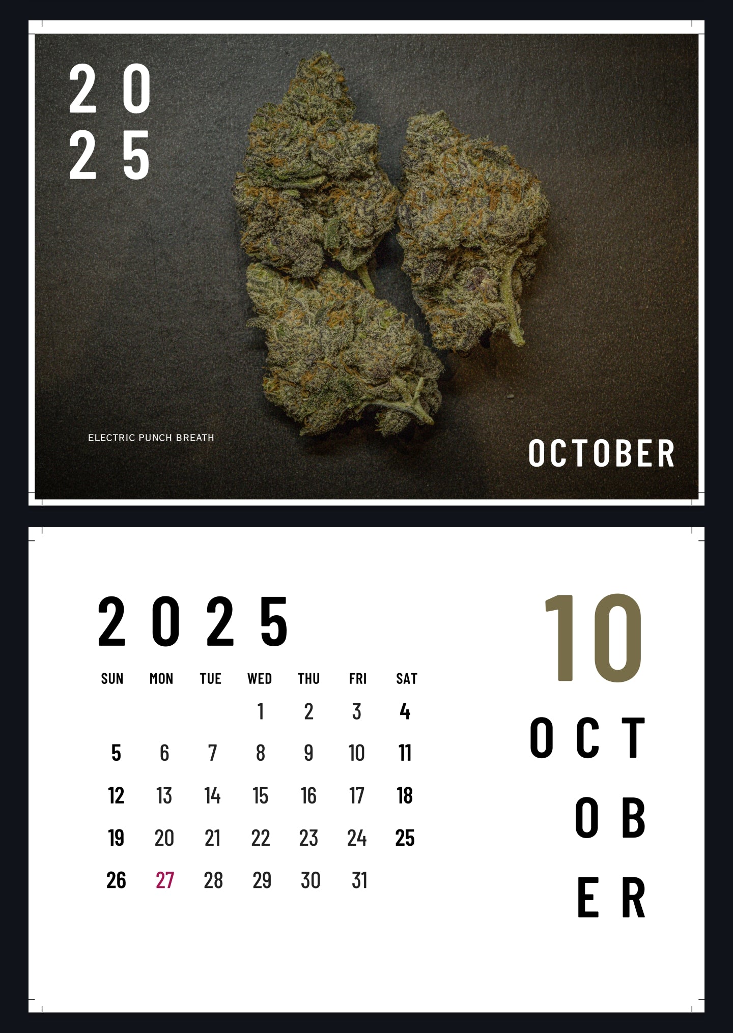 Harvest Season 2025-26 NZ Calendar