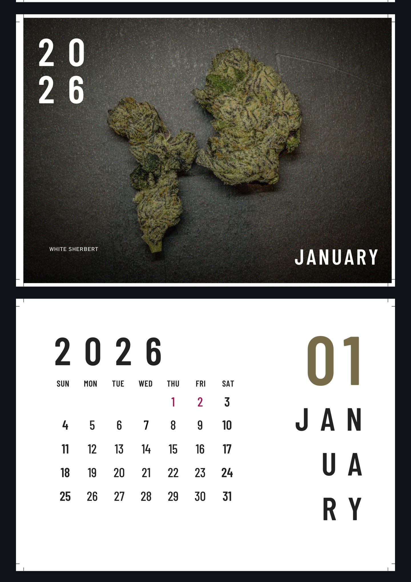 Harvest Season 2025-26 NZ Calendar