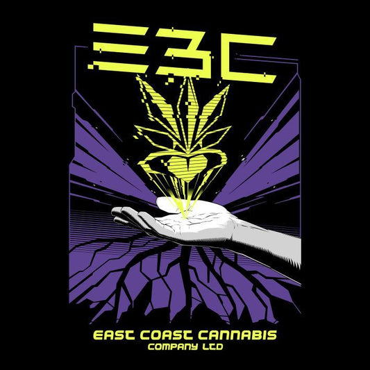 Purple Haze - E3C